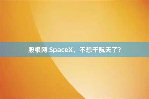 股粮网 SpaceX，不想干航天了?